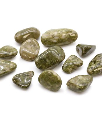 Medium African Tumble Stones - Epidote Snowflake
