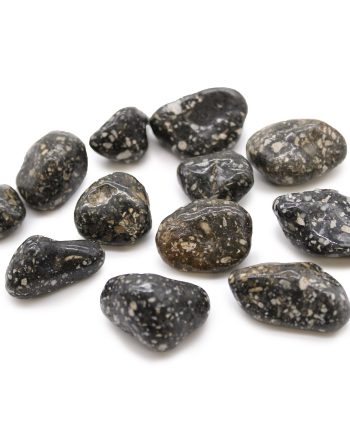 Medium African Tumble Stones - Guinea Fowl Medium (12 pack)