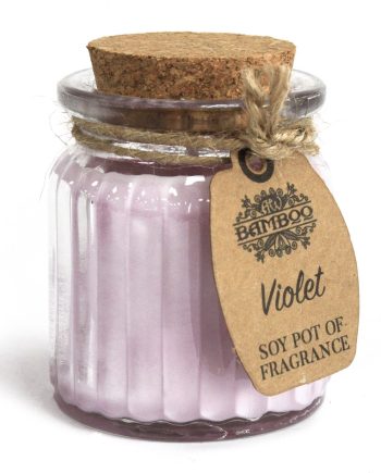 2x Violet Soy Pot of Fragrance Candles