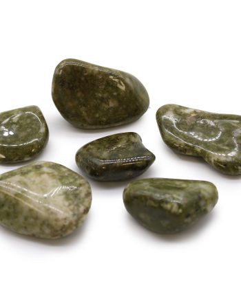 Large African Tumble Stones - Epidote Snowflake (6 pack)