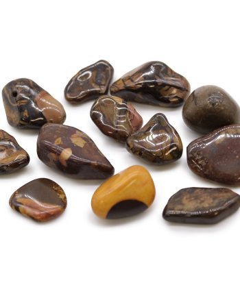 Medium African Tumble Stones - Picture Nguni (12 pack)