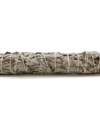 Smudge Stick - White Sage 22.5 cm