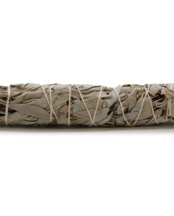 Smudge Stick - White Sage 15cm