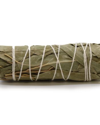 Smudge Stcik - White Sage & Eucalyptus 10 cm