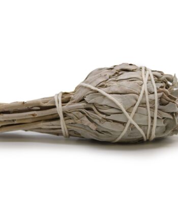 Smudge Stick - White Sage Torch 10cm